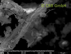 SEM-picture of chrysotile asbestos in plasters, trowlled on materials and paints | © CRB Analyse Service GmbH
