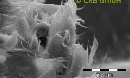 Imagen MEB amianto crisotilo en sello | © CRB Analysis Service GmbH